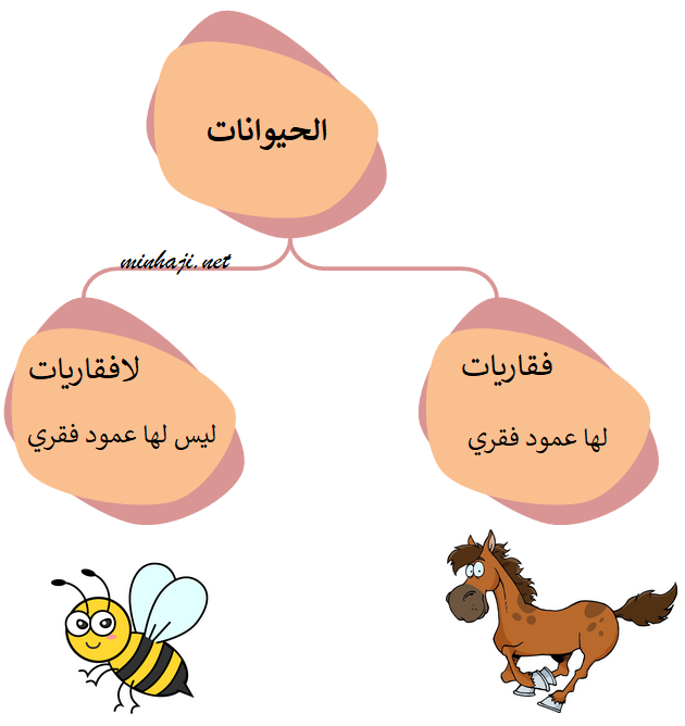 الفقاريات واللافقاريات